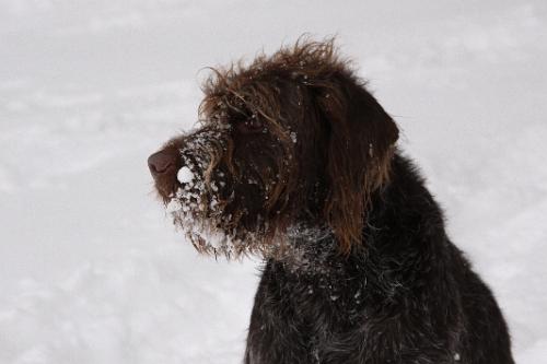 2010_01_09_212.JPG