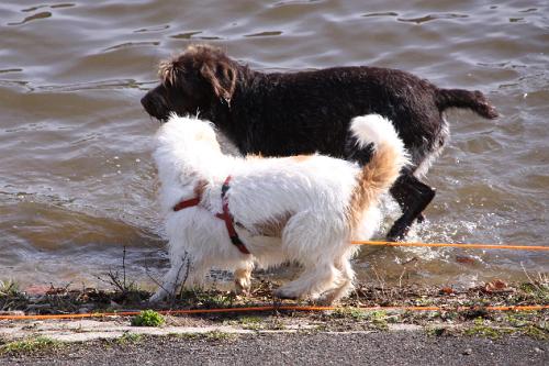 2010_04_02_012.JPG