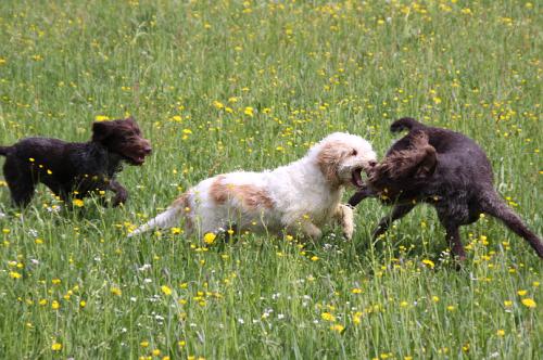 2010_05_09_162.JPG