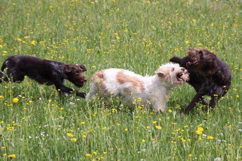 2010_05_09_163.JPG