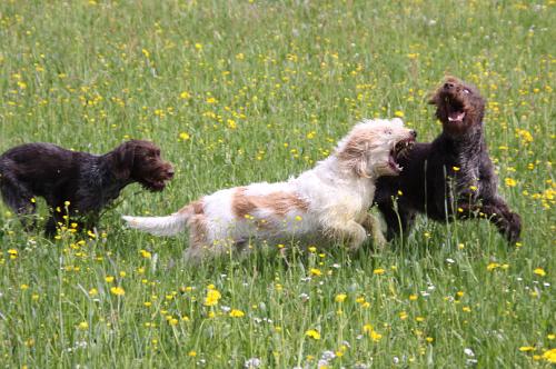 2010_05_09_164.JPG