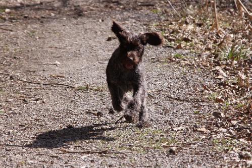 2010_04_02_095.JPG